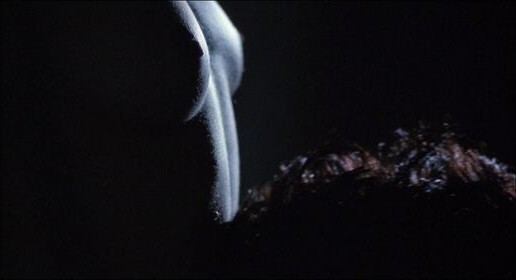 Robin Wright Nude Leaks OnlyFans Photo 97